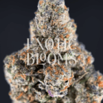 Pineapple Breeze cannabis strain with 24–30% THC, a sativa-dominant hybrid featuring tropical pineapple, papaya, and lemon flavors. Available for weed delivery in Washington DC, Virginia, Maryland, and Richmond.