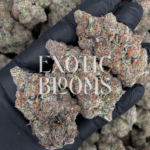 Pineapple Breeze cannabis strain with 24–30% THC, a sativa-dominant hybrid featuring tropical pineapple, papaya, and lemon flavors. Available for weed delivery in Washington DC, Virginia, Maryland, and Richmond.