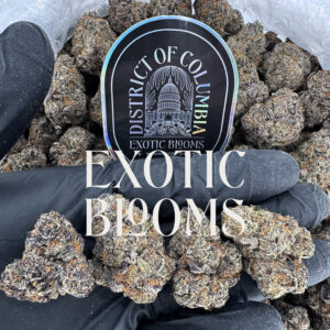 Purple Cake Batter indica-dominant hybrid — 26–30% THC — Exotic Blooms — Washington DC, Virginia, Maryland, Richmond VA delivery