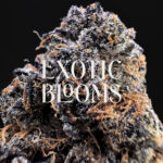 Purple Cake Batter indica-dominant hybrid — 26–30% THC — Exotic Blooms — Washington DC, Virginia, Maryland, Richmond VA delivery