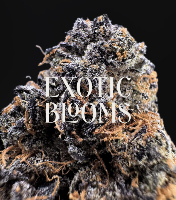 Purple Cake Batter indica-dominant hybrid — 26–30% THC — Exotic Blooms — Washington DC, Virginia, Maryland, Richmond VA delivery