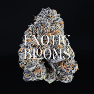 Purple Cake Batter indica-dominant hybrid — 26–30% THC — Exotic Blooms — Washington DC, Virginia, Maryland, Richmond VA delivery