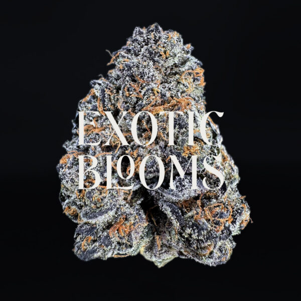 Purple Cake Batter indica-dominant hybrid — 26–30% THC — Exotic Blooms — Washington DC, Virginia, Maryland, Richmond VA delivery