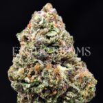 Rainbow Cake Strain Flower Washington DC Delivery