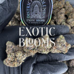 Rainbow Ice hybrid cannabis strain — 28–30% THC — Exotic Blooms — Washington DC, Virginia, Maryland, Richmond VA delivery
