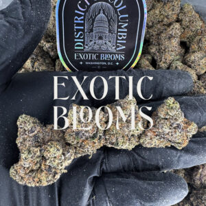 Rainbow Ice hybrid cannabis strain — 28–30% THC — Exotic Blooms — Washington DC, Virginia, Maryland, Richmond VA delivery