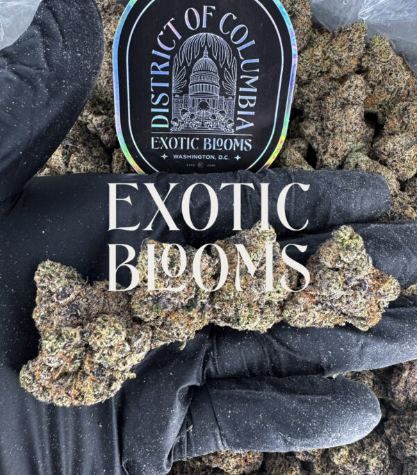 Rainbow Ice hybrid cannabis strain — 28–30% THC — Exotic Blooms — Washington DC, Virginia, Maryland, Richmond VA delivery