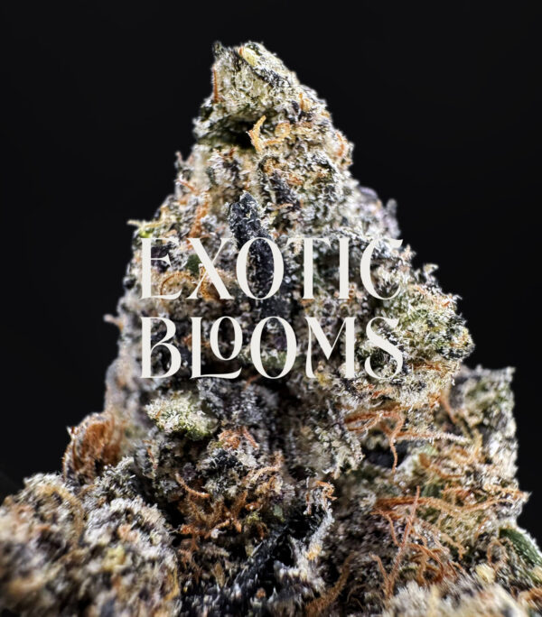 Rainbow Ice hybrid cannabis strain — 28–30% THC — Exotic Blooms — Washington DC, Virginia, Maryland, Richmond VA delivery