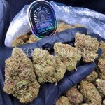 Rainbow Runtz strain available for weed delivery in Washington DC, Virginia, Maryland, and Richmond