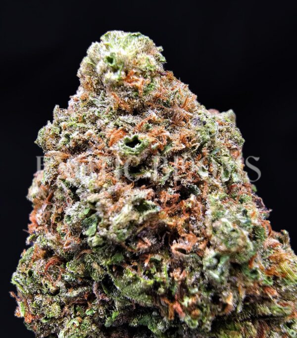 Rainbow Runtz strain available for weed delivery in Washington DC, Virginia, Maryland, and Richmond