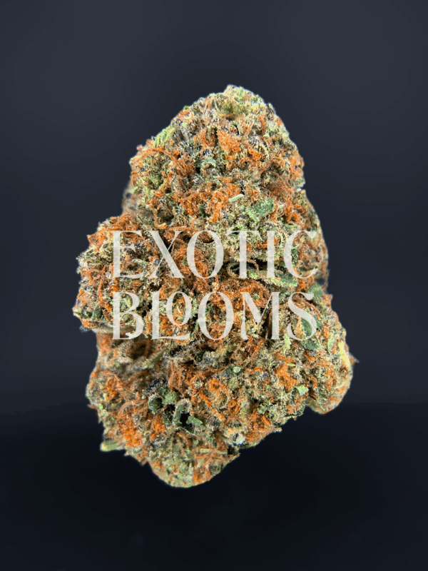 RS11 (Rainbow Sherbet #11) strain with frosty blue-green buds and candy-sweet cherry berry aroma, available for weed delivery in Washington DC, Virginia, Maryland, and Richmond.