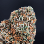 RS11 (Rainbow Sherbet #11) strain with frosty blue-green buds and candy-sweet cherry berry aroma, available for weed delivery in Washington DC, Virginia, Maryland, and Richmond.