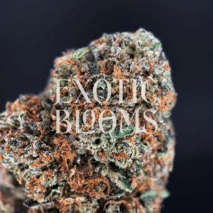 RS11 (Rainbow Sherbet #11) strain with frosty blue-green buds and candy-sweet cherry berry aroma, available for weed delivery in Washington DC, Virginia, Maryland, and Richmond.