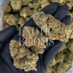RS11 (Rainbow Sherbet #11) strain with frosty blue-green buds and candy-sweet cherry berry aroma, available for weed delivery in Washington DC, Virginia, Maryland, and Richmond.