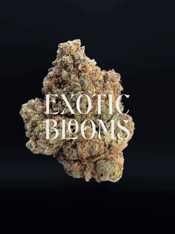 Sherbet Biscotti hybrid strain for premium weed delivery in Washington DC, Virginia, Maryland, and Richmond
