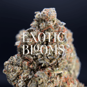 Sherbet Biscotti hybrid strain for premium weed delivery in Washington DC, Virginia, Maryland, and Richmond