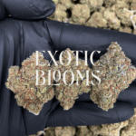 Sherbet Biscotti hybrid strain for premium weed delivery in Washington DC, Virginia, Maryland, and Richmond
