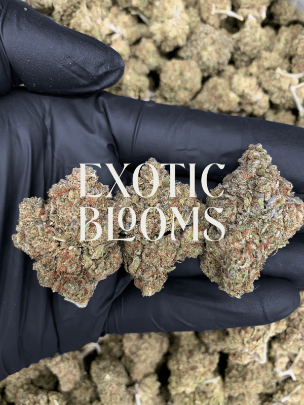 Sherbet Biscotti hybrid strain for premium weed delivery in Washington DC, Virginia, Maryland, and Richmond