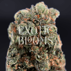 Starburst OG (Starburst Kush) hybrid cannabis strain with sweet lemon candy flavor and high THC – delivery available in Washington DC, Virginia, Maryland & Richmond.
