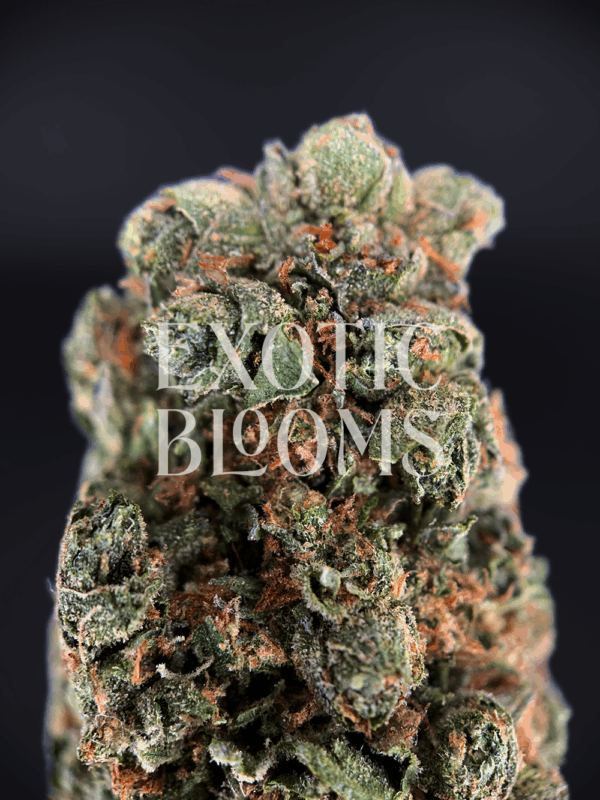 Starburst OG (Starburst Kush) hybrid cannabis strain with sweet lemon candy flavor and high THC – delivery available in Washington DC, Virginia, Maryland & Richmond.