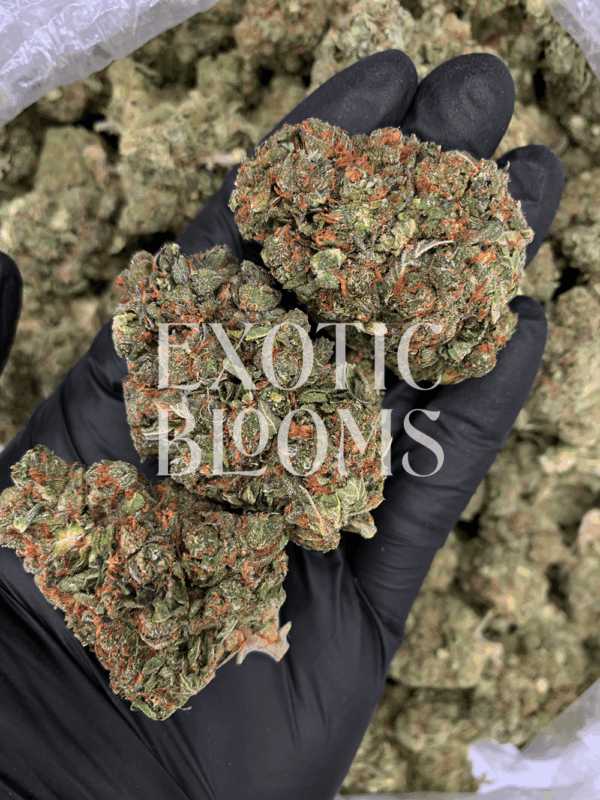 Starburst OG (Starburst Kush) hybrid cannabis strain with sweet lemon candy flavor and high THC – delivery available in Washington DC, Virginia, Maryland & Richmond.
