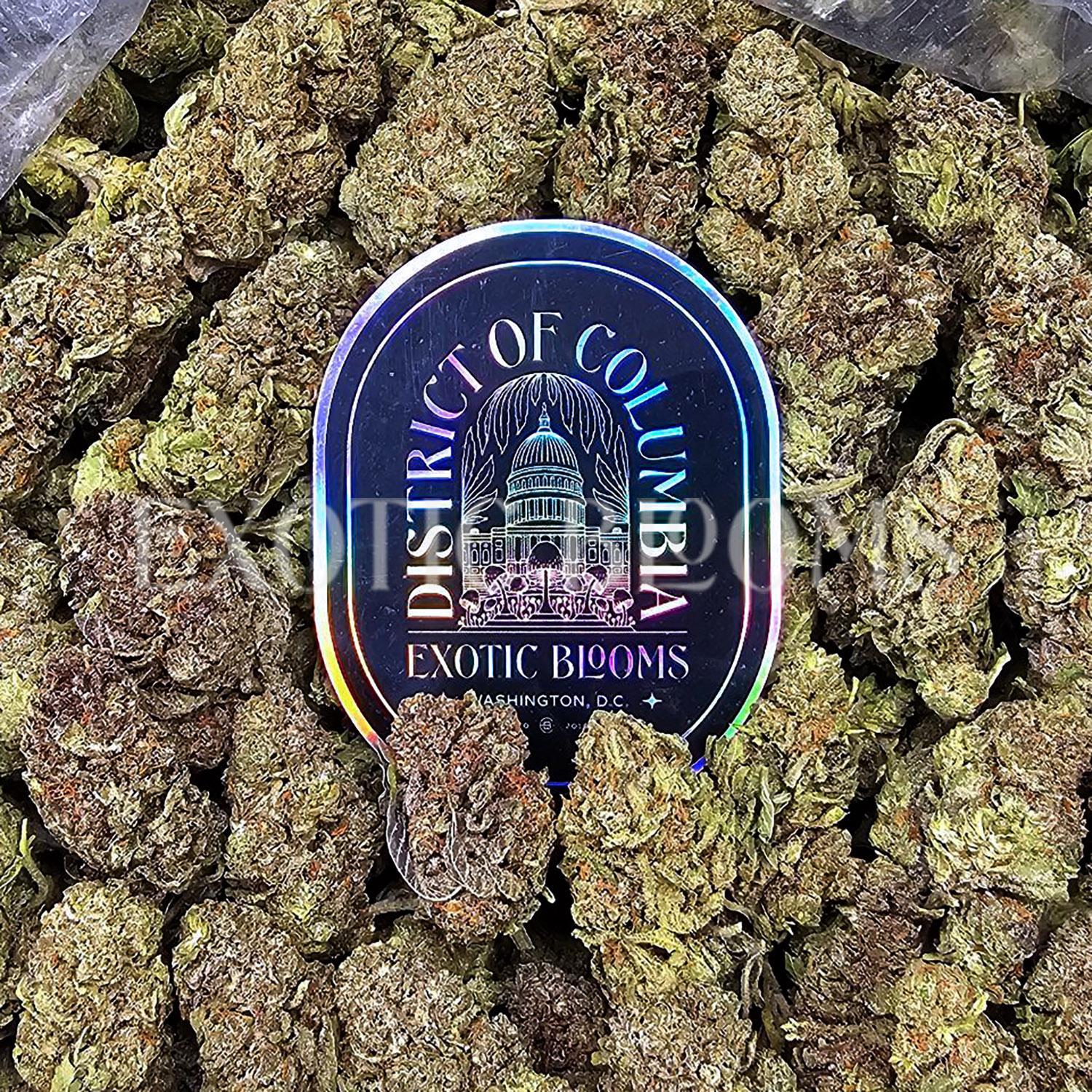 Sunset Sherbet Strain - Exotic Blooms DC VA MD RVA Sunset Sherbet strain for weed delivery in Washington DC, Virginia, and Maryland