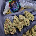 Sunset Sherbet strain for weed delivery in Washington DC, Virginia, and Maryland