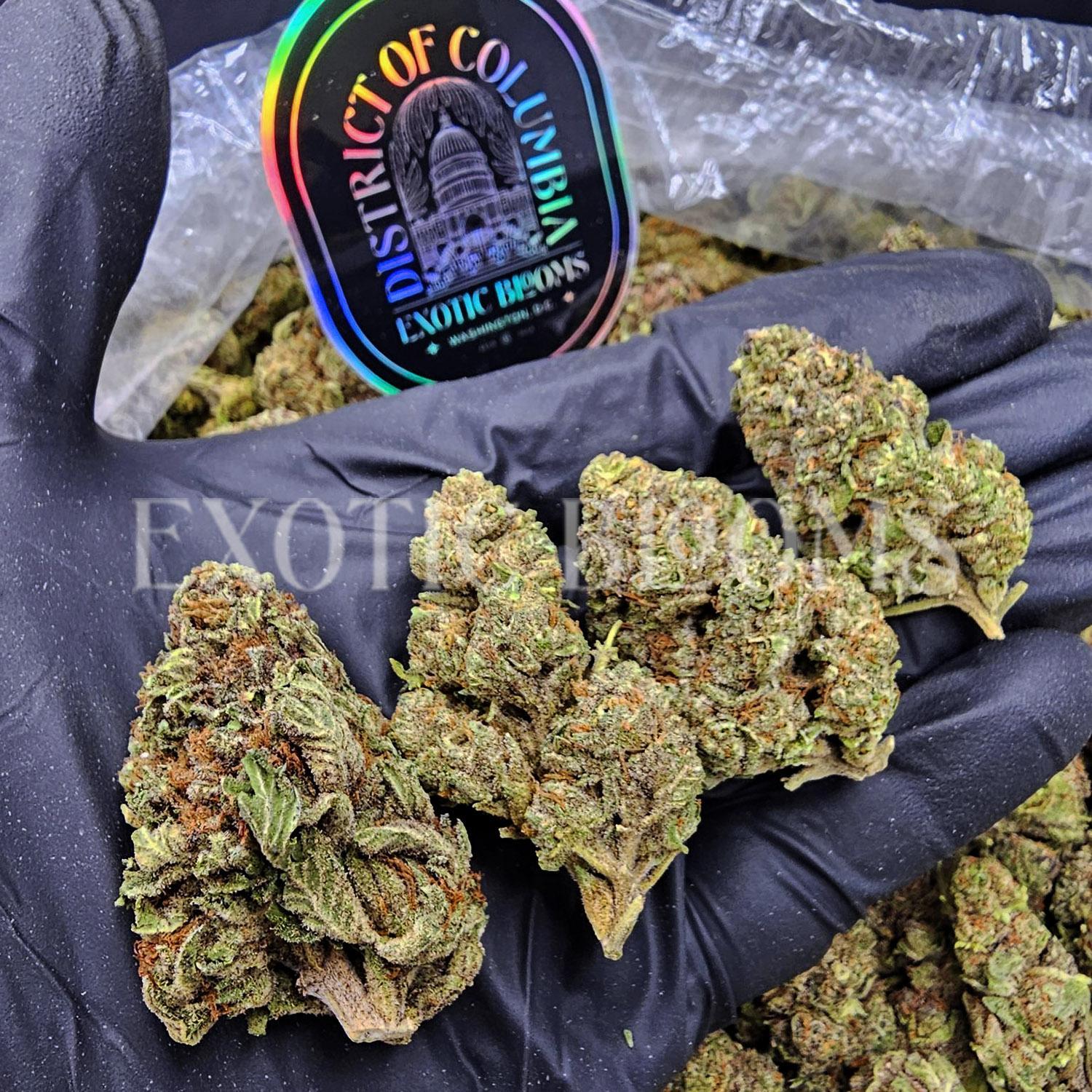 Sunset Sherbet strain for weed delivery in Washington DC, Virginia, and Maryland