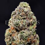 Sunset Sherbet strain for weed delivery in Washington DC, Virginia, and Maryland