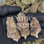 Super Boof strain buds with cherry berry aroma, citrus nuttiness, and balanced hybrid effects, available for delivery in Washington DC, Virginia, Maryland, and Richmond.