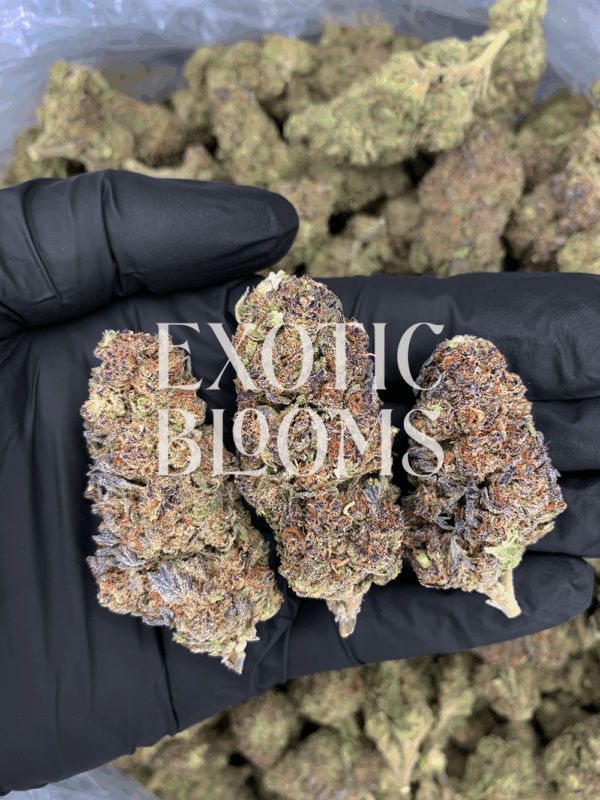 Super Boof strain buds with cherry berry aroma, citrus nuttiness, and balanced hybrid effects, available for delivery in Washington DC, Virginia, Maryland, and Richmond.