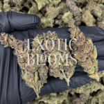 Tropicanna strain with frosty green buds, lemon-lime citrus flavor, and 27% THC, available for weed delivery in Washington DC, Virginia, Maryland, and Richmond.