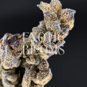 Tropicanna strain with frosty green buds, lemon-lime citrus flavor, and 27% THC, available for weed delivery in Washington DC, Virginia, Maryland, and Richmond.