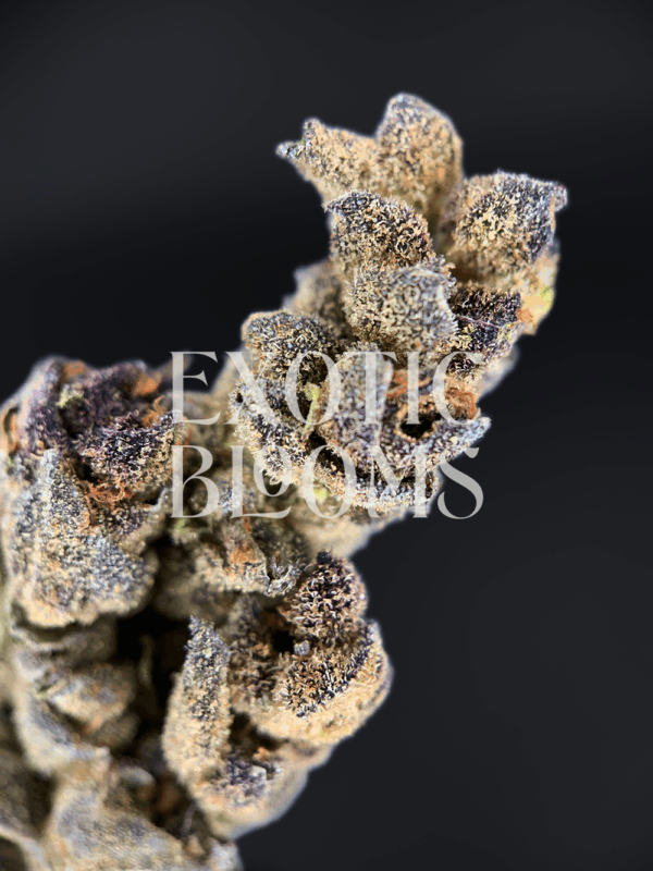 Tropicanna strain with frosty green buds, lemon-lime citrus flavor, and 27% THC, available for weed delivery in Washington DC, Virginia, Maryland, and Richmond.