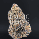 Turbo Lemon Cake cannabis strain buds – sativa-dominant hybrid with 28–31% THC, available for weed delivery in Washington DC, Virginia, Maryland, and Richmond.