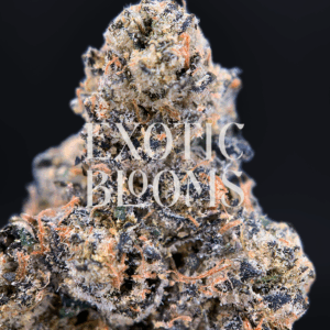 Turbo Lemon Cake cannabis strain buds – sativa-dominant hybrid with 28–31% THC, available for weed delivery in Washington DC, Virginia, Maryland, and Richmond.
