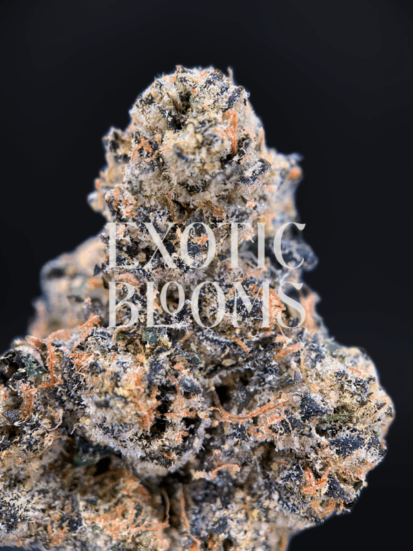 Turbo Lemon Cake cannabis strain buds – sativa-dominant hybrid with 28–31% THC, available for weed delivery in Washington DC, Virginia, Maryland, and Richmond.