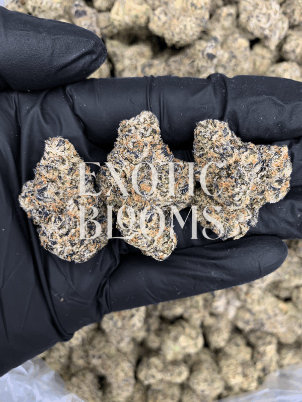Turbo Lemon Cake cannabis strain buds – sativa-dominant hybrid with 28–31% THC, available for weed delivery in Washington DC, Virginia, Maryland, and Richmond.