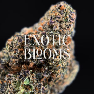 Zelato strain, hybrid, 26–29% THC, Exotic Blooms weed delivery in Washington DC, Virginia, Maryland, and Richmond VA