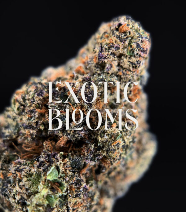 Zelato strain, hybrid, 26–29% THC, Exotic Blooms weed delivery in Washington DC, Virginia, Maryland, and Richmond VA