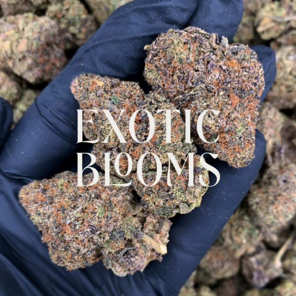 Zelato strain, hybrid, 26–29% THC, Exotic Blooms weed delivery in Washington DC, Virginia, Maryland, and Richmond VA