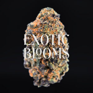 Zelato strain, hybrid, 26–29% THC, Exotic Blooms weed delivery in Washington DC, Virginia, Maryland, and Richmond VA
