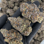 Benanimals strain by Lumpy’s Flowers, rare West Coast sativa hybrid available in Northern Virginia through Exotic Blooms, frosty purple buds with gassy berry aroma