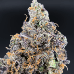 Benanimals strain by Lumpy’s Flowers, rare West Coast sativa hybrid available in Northern Virginia through Exotic Blooms, frosty purple buds with gassy berry aroma