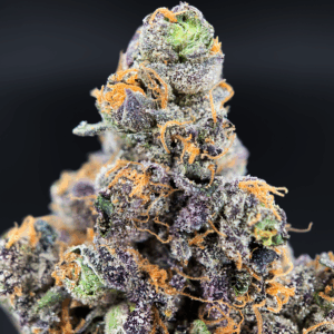 Benanimals strain by Lumpy’s Flowers, rare West Coast sativa hybrid available in Northern Virginia through Exotic Blooms, frosty purple buds with gassy berry aroma