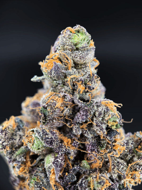 Benanimals strain by Lumpy’s Flowers, rare West Coast sativa hybrid available in Northern Virginia through Exotic Blooms, frosty purple buds with gassy berry aroma