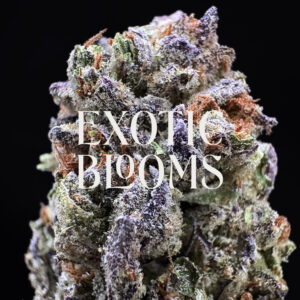 Black Gorilla cannabis strain hybrid 25-27% THC for weed delivery in Washington DC, Virginia, Maryland, and Richmond VA