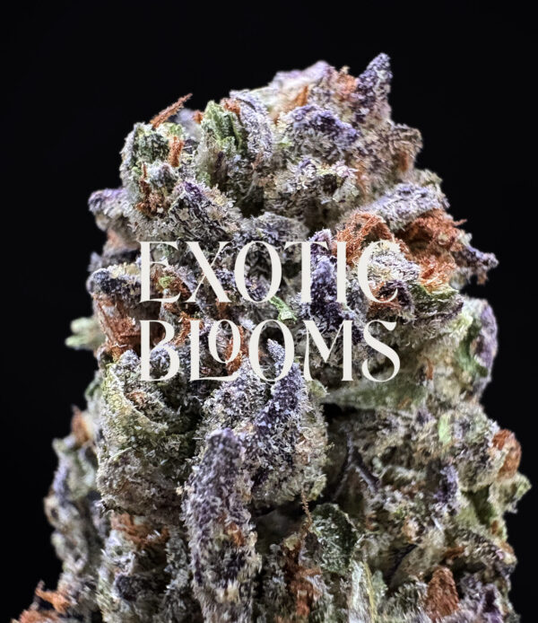 Black Gorilla cannabis strain hybrid 25-27% THC for weed delivery in Washington DC, Virginia, Maryland, and Richmond VA