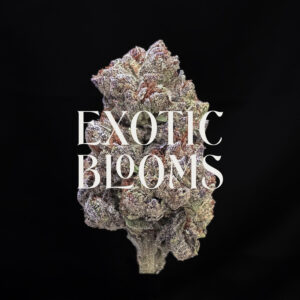 Black Gorilla cannabis strain hybrid 25-27% THC for weed delivery in Washington DC, Virginia, Maryland, and Richmond VA