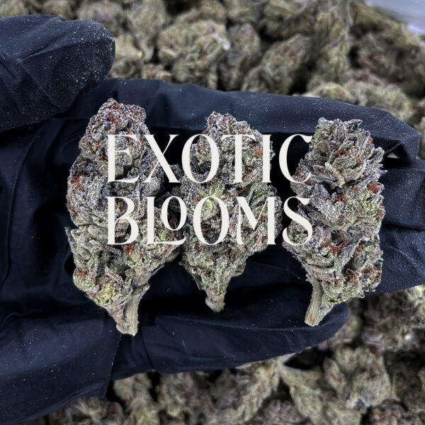 Black Gorilla cannabis strain hybrid 25-27% THC for weed delivery in Washington DC, Virginia, Maryland, and Richmond VA